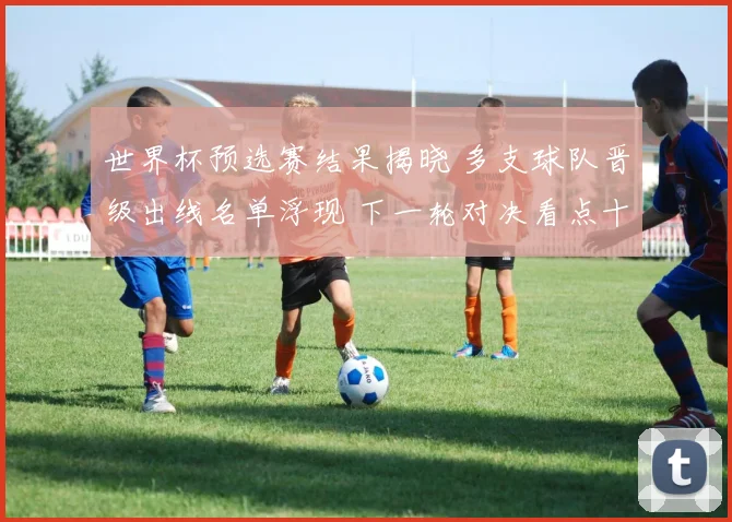 世界杯预选赛结果揭晓 多支球队晋级出线名单浮现 下一轮对决看点十足